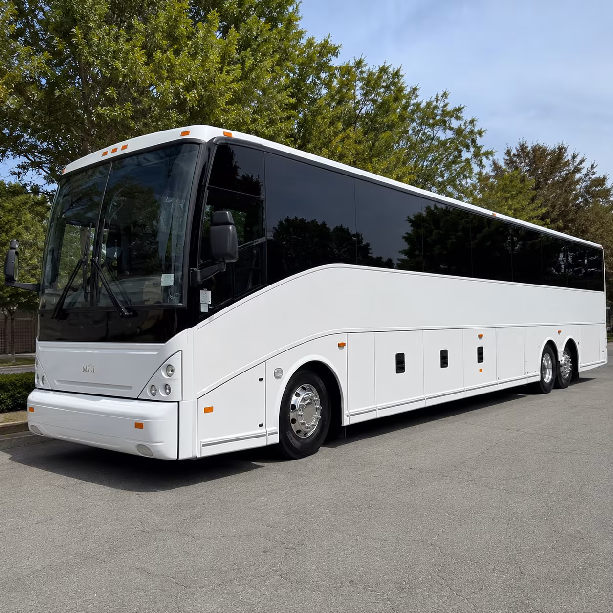 cross border group coordination and international arrival transfers